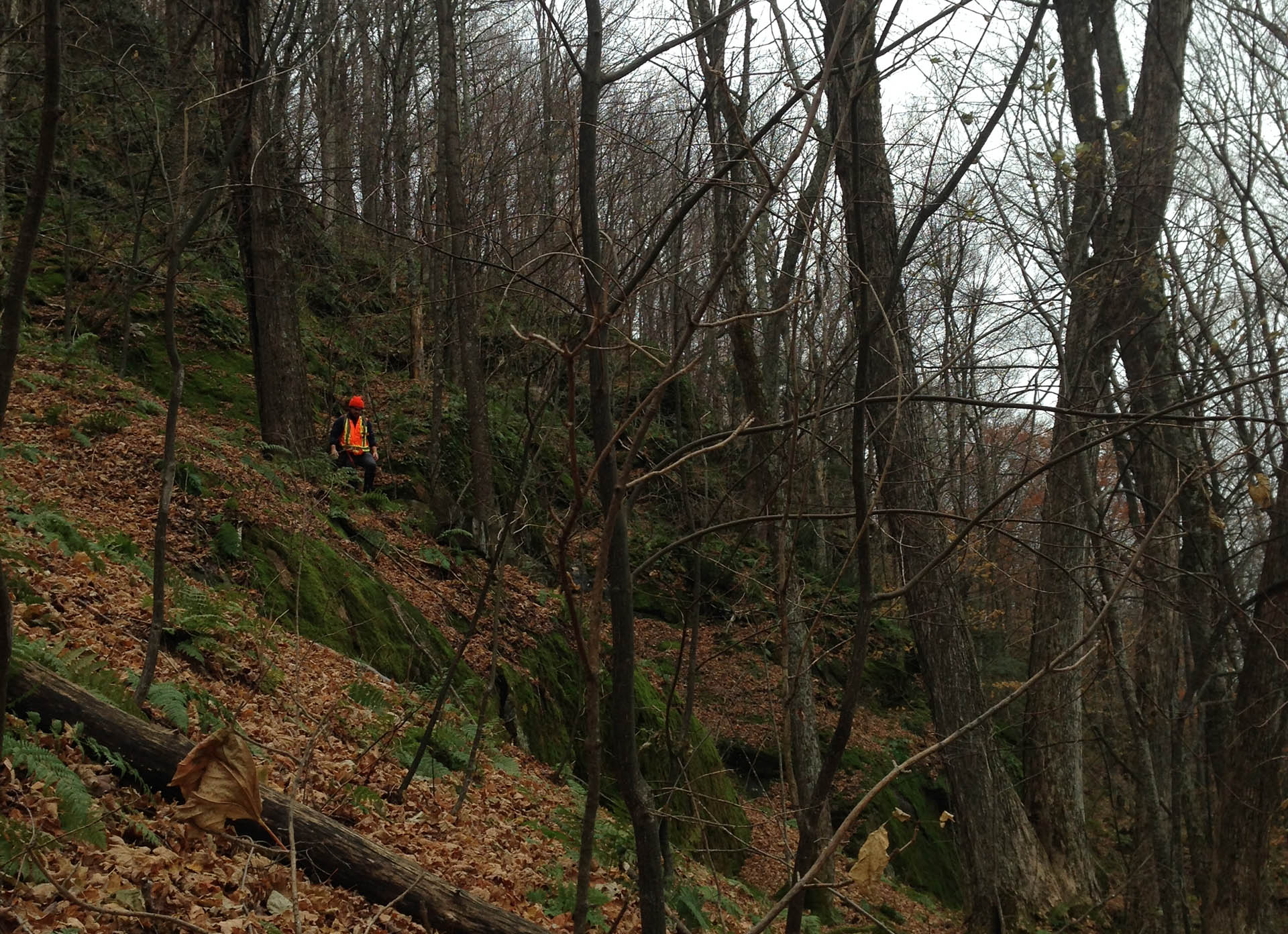 Hiking During Hunting Season in Vermont