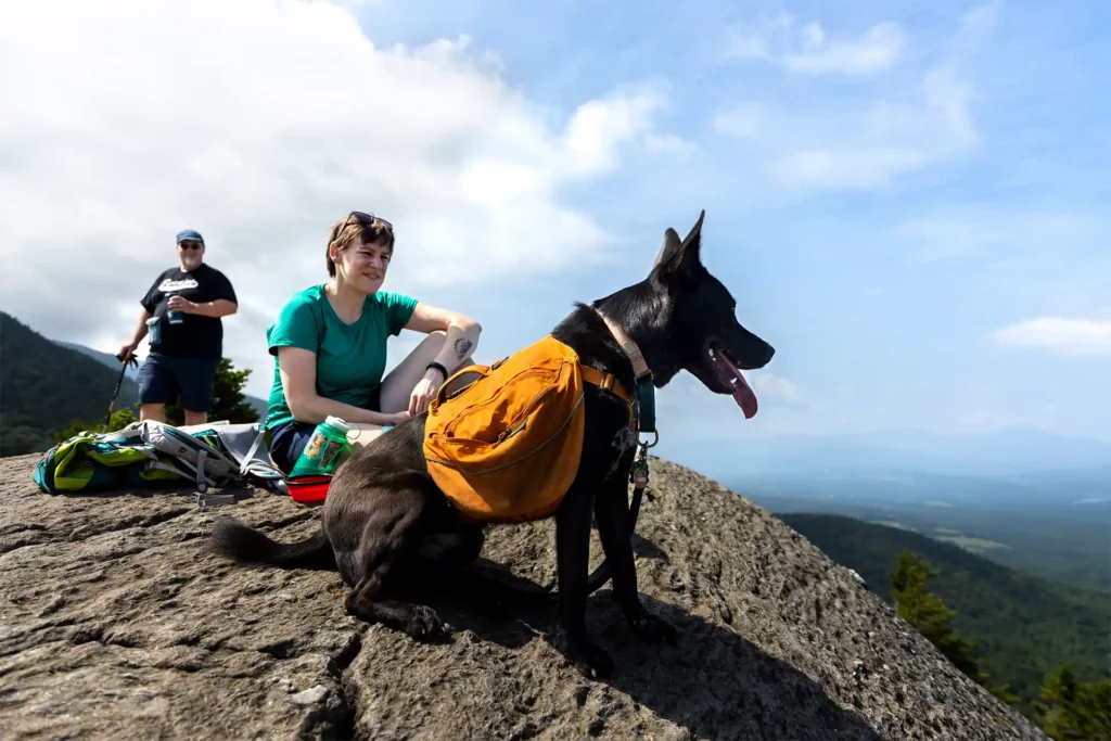 20230728_hiking-with-dogs-17