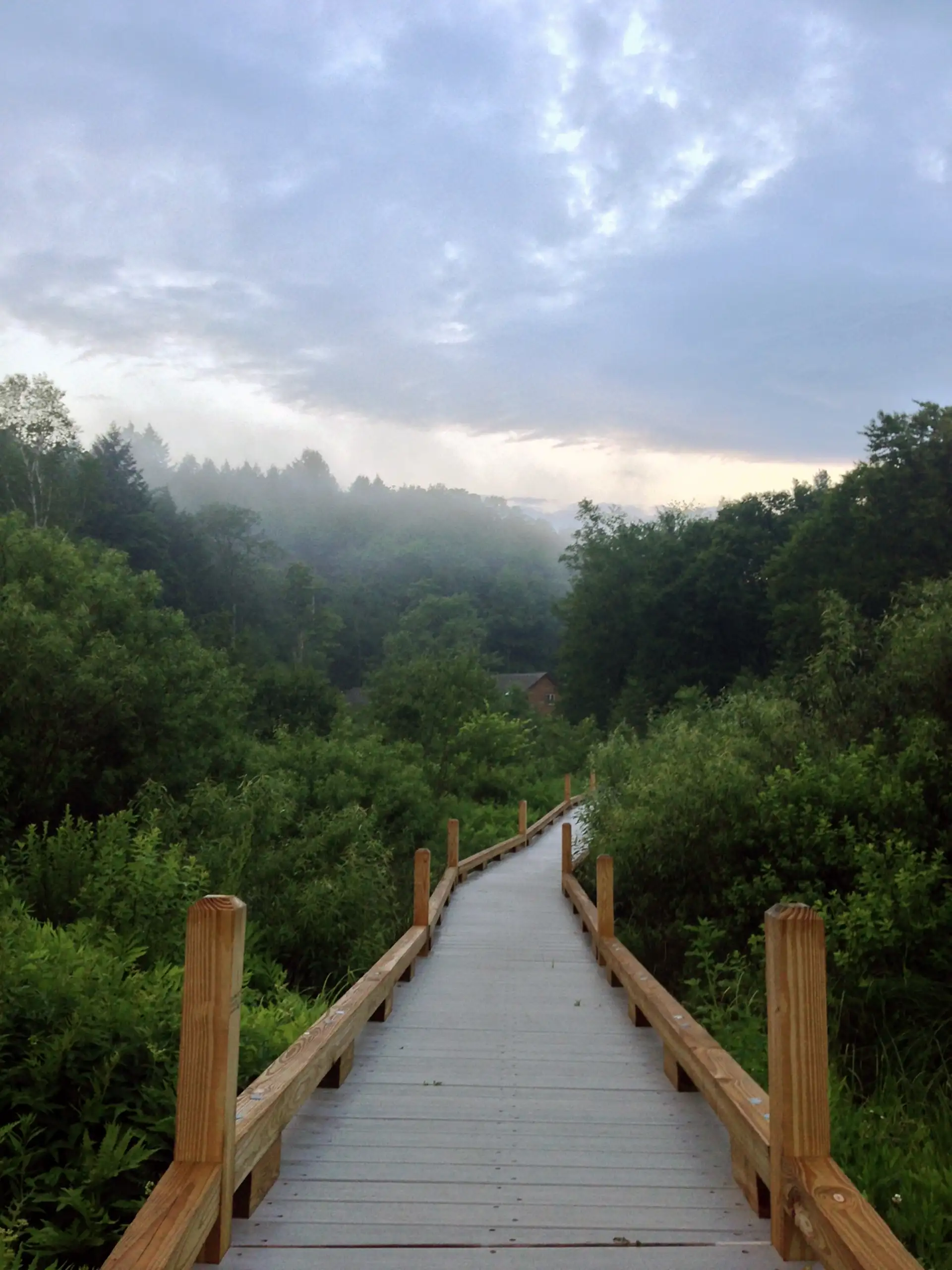 Thundering Falls Boardwalk