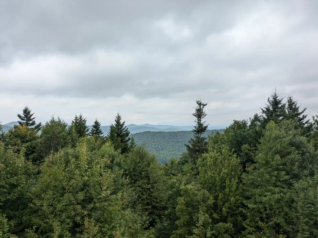 Appalachian Trail east of Maine Junction_08-17-2024_Stephanie Nicheporuck