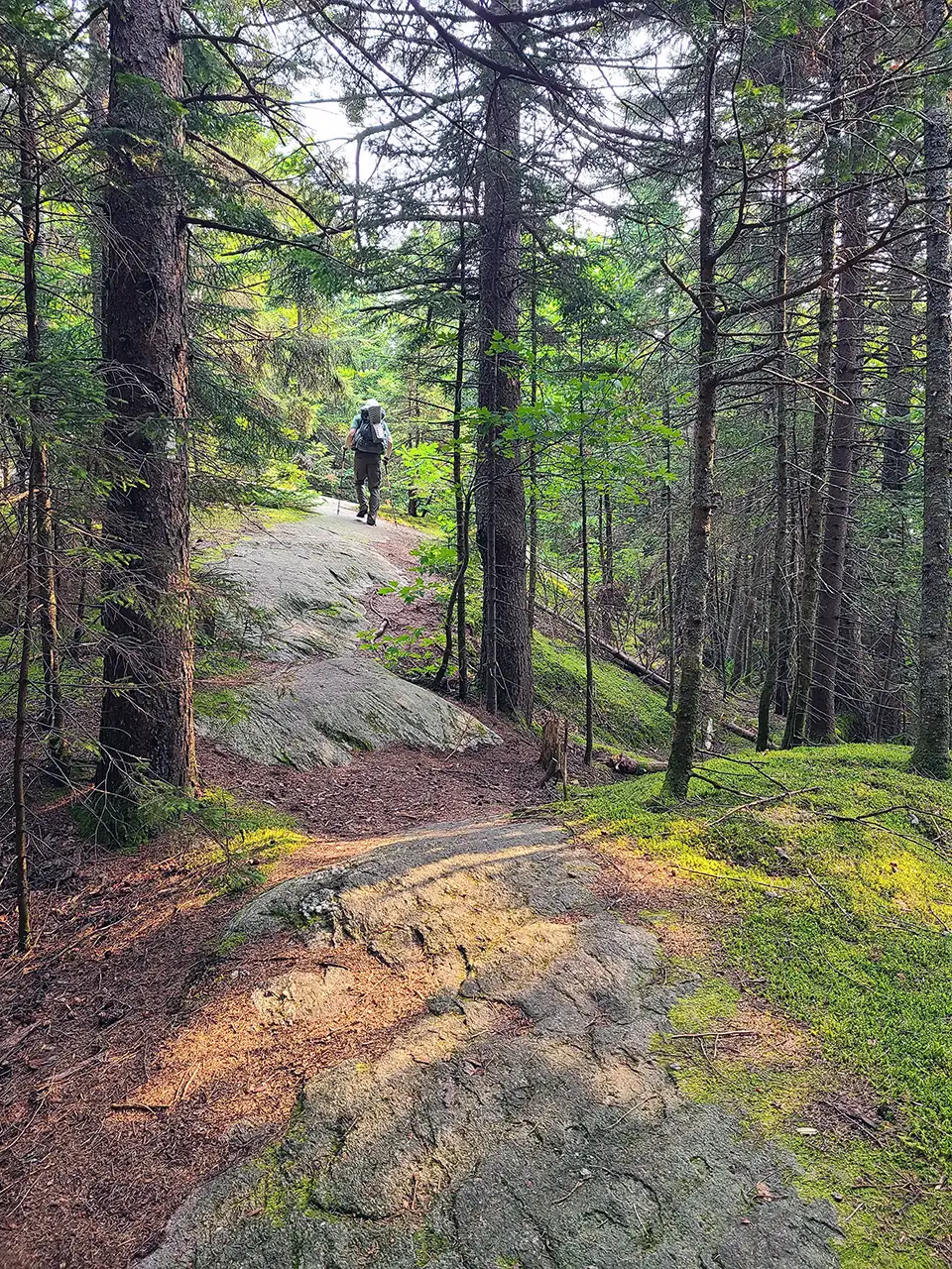 Section Hike: Jay Pass (Route 242) to Northern Terminus