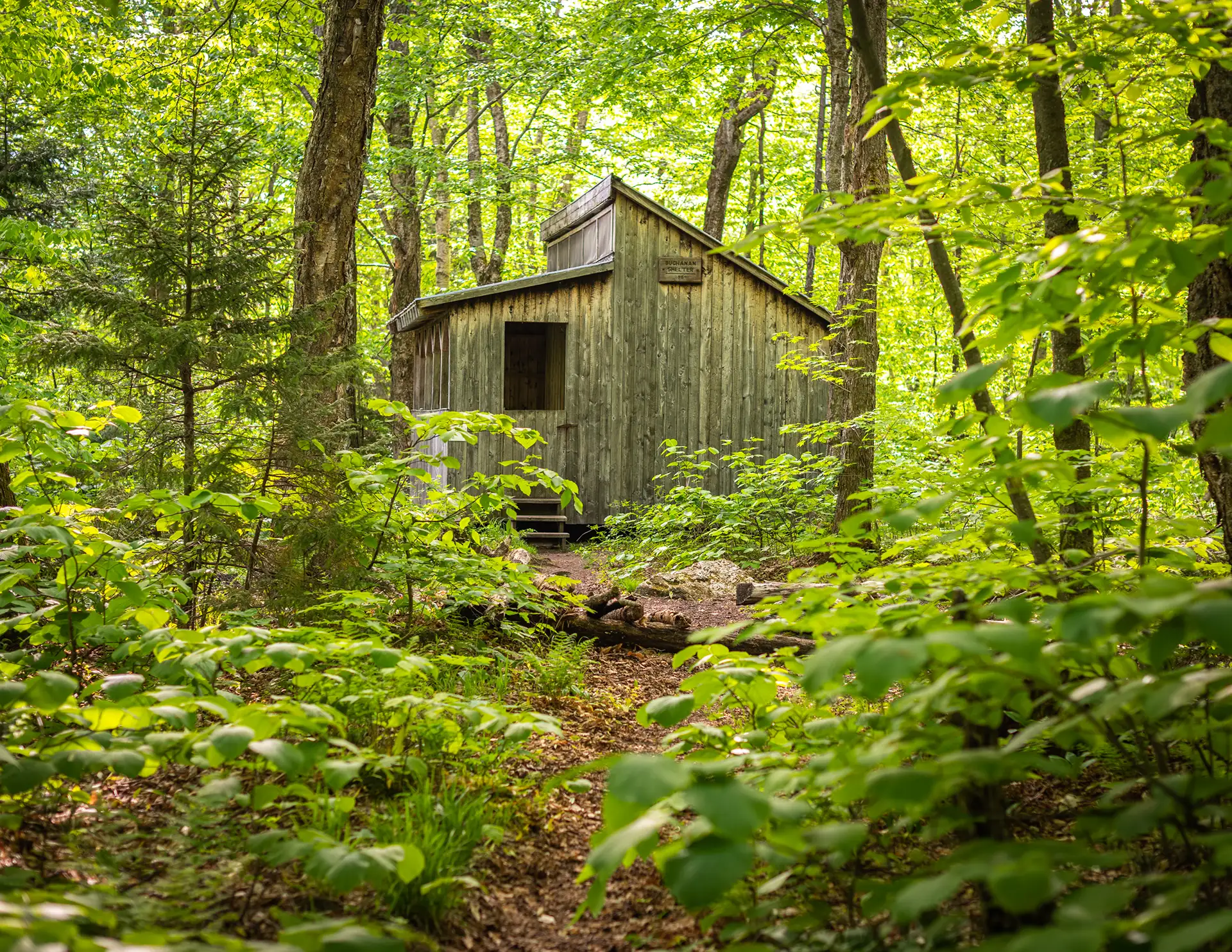 Section Hike: Camel’s Hump to Route 108