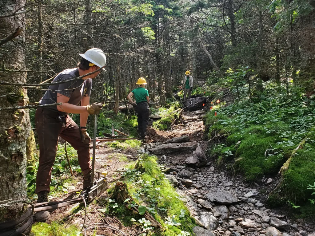 Burrows Trail Check Steps_July 2022_Anna Gardner (9)