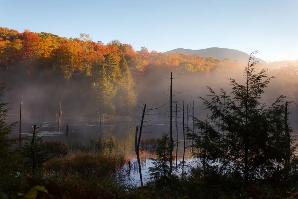 Fall foliage beaver pond_Chris Diegel
