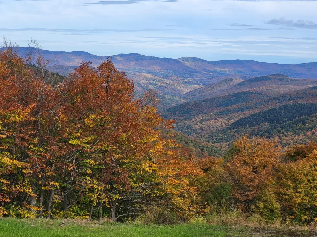 Fall foliage_Joseph Battell Wilderness_10-05-2022_Deborah Wilson