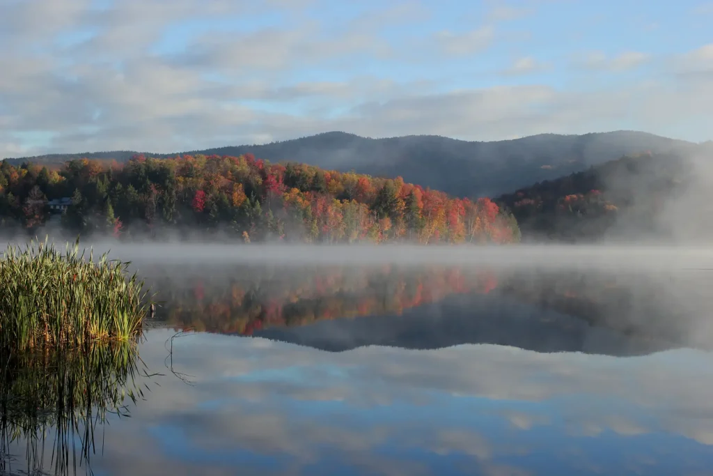 Fall foliage_Kent Pond_Judy Plouffe