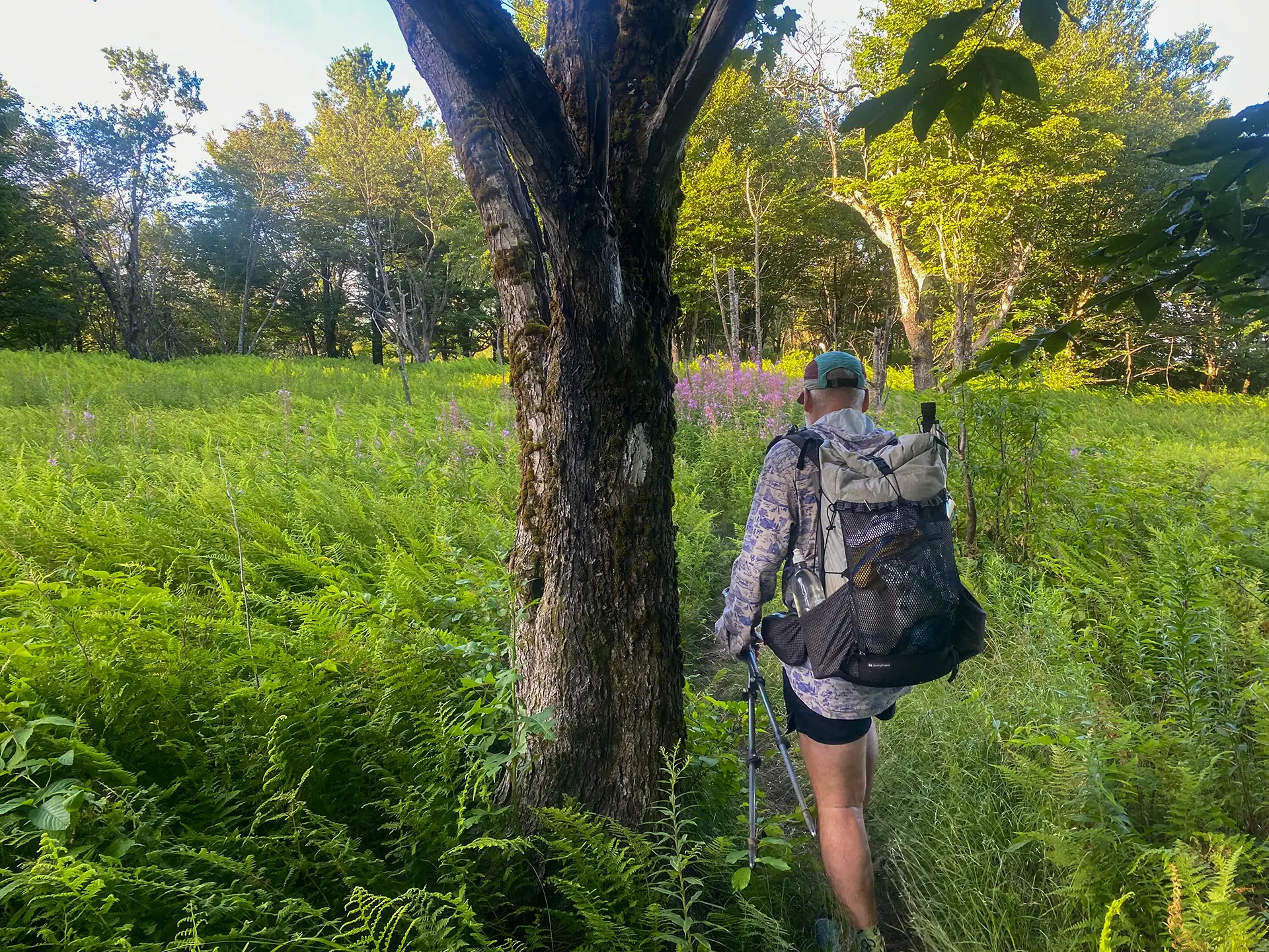 Appalachian Trailย inย VT