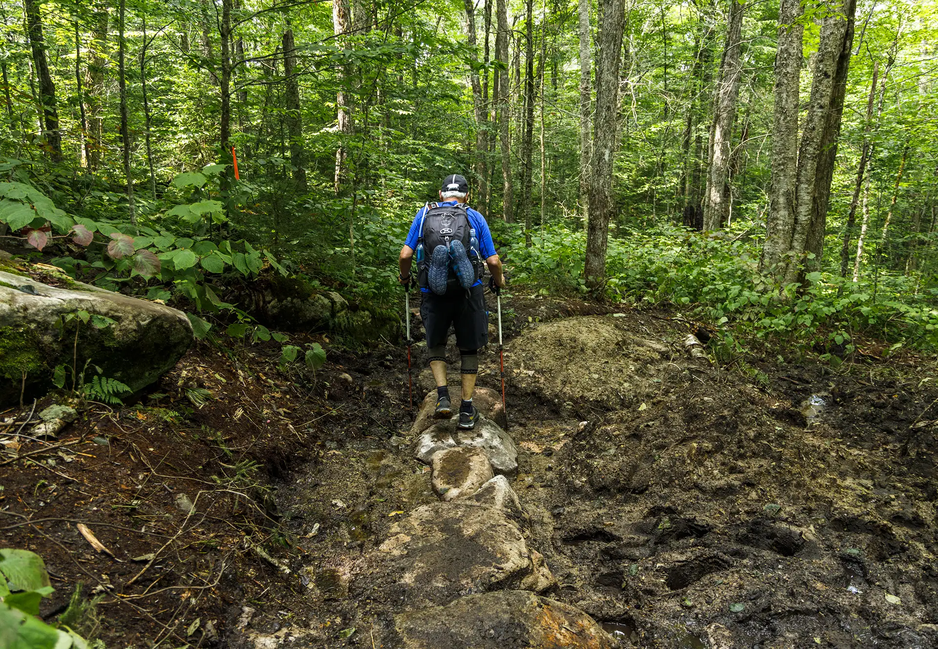 Trail Updates