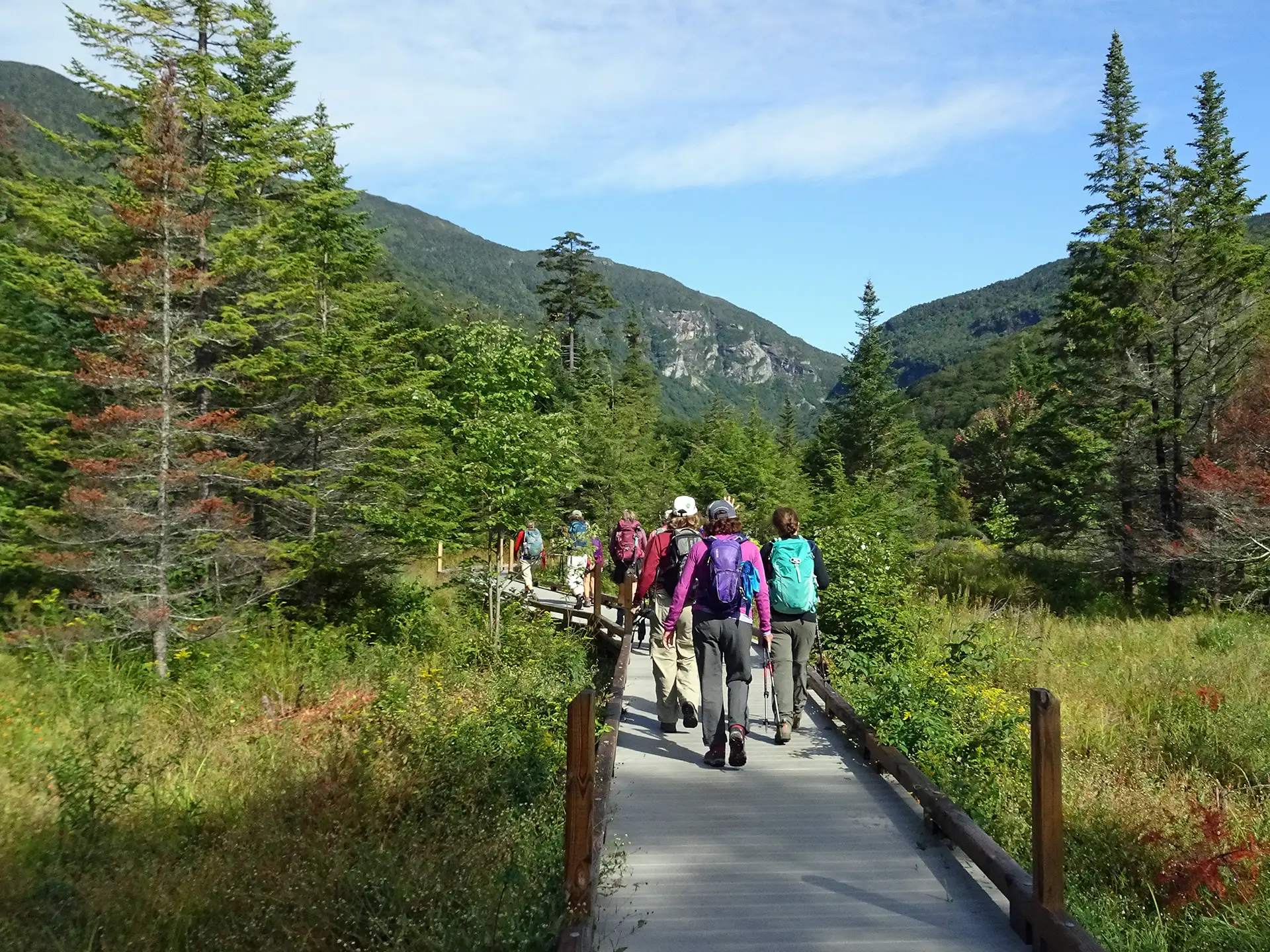 Accessible Trails