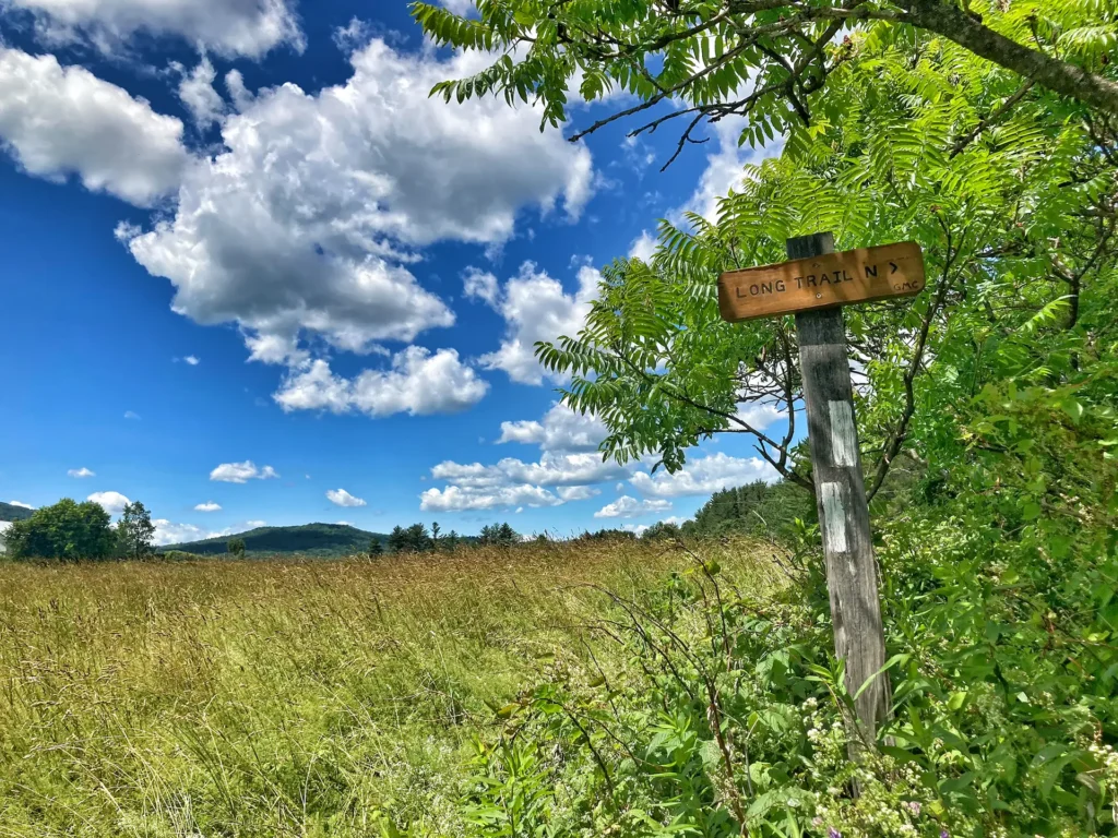 Long Trail near Johnson_July-2022_Tara Schatz