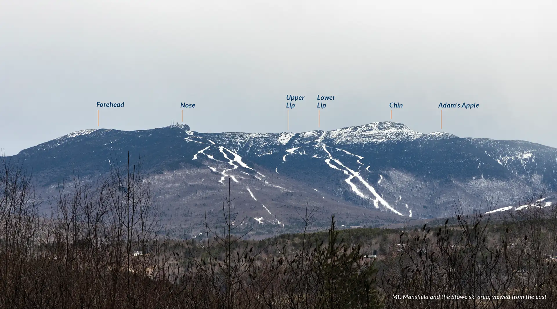 Mount Mansfield Area Trails