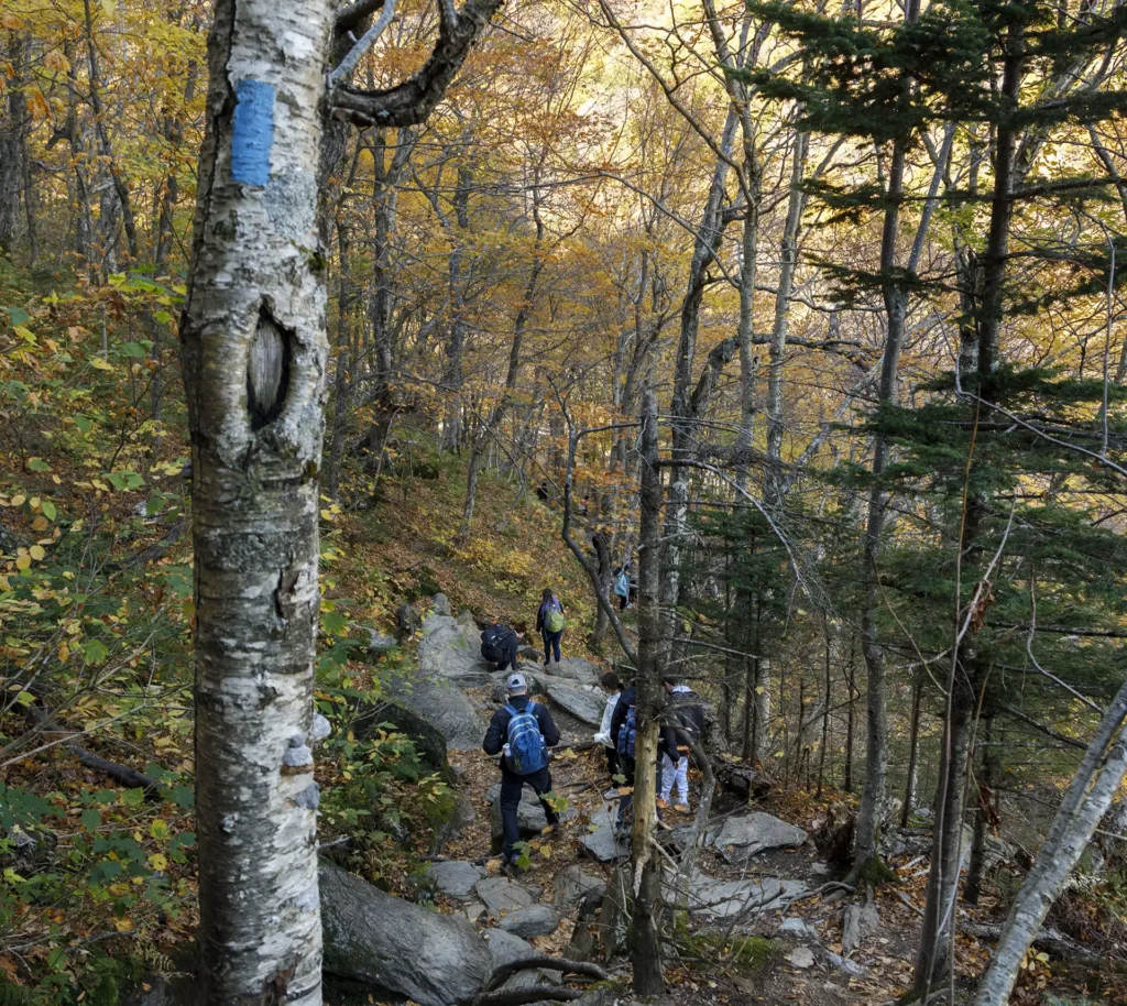 Sterling Pond Trail_10-11-2025_Lily LaRegina