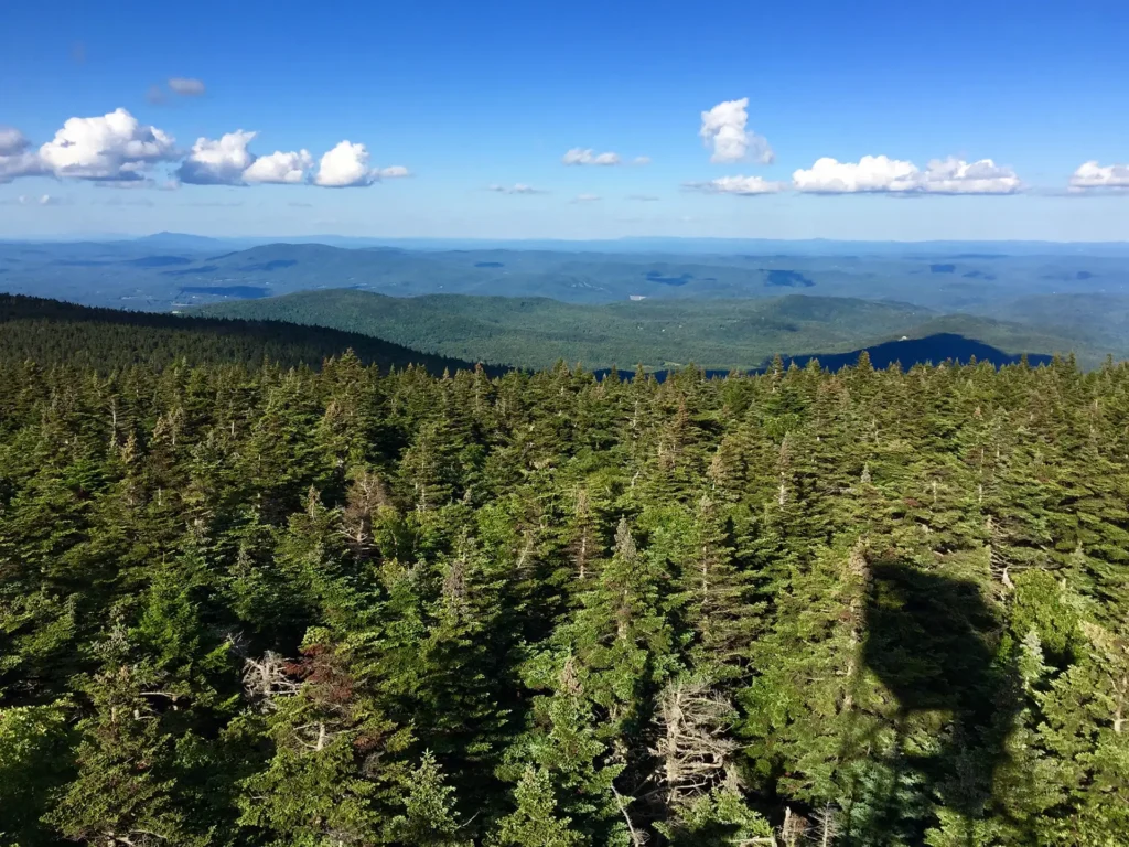 Stratton Mountain firetower view_2018_Diana Michalczuk