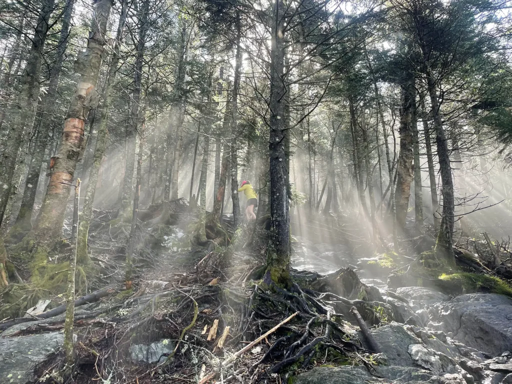 Sunrays on Burrows Trail_June2025_Scott Barnicle