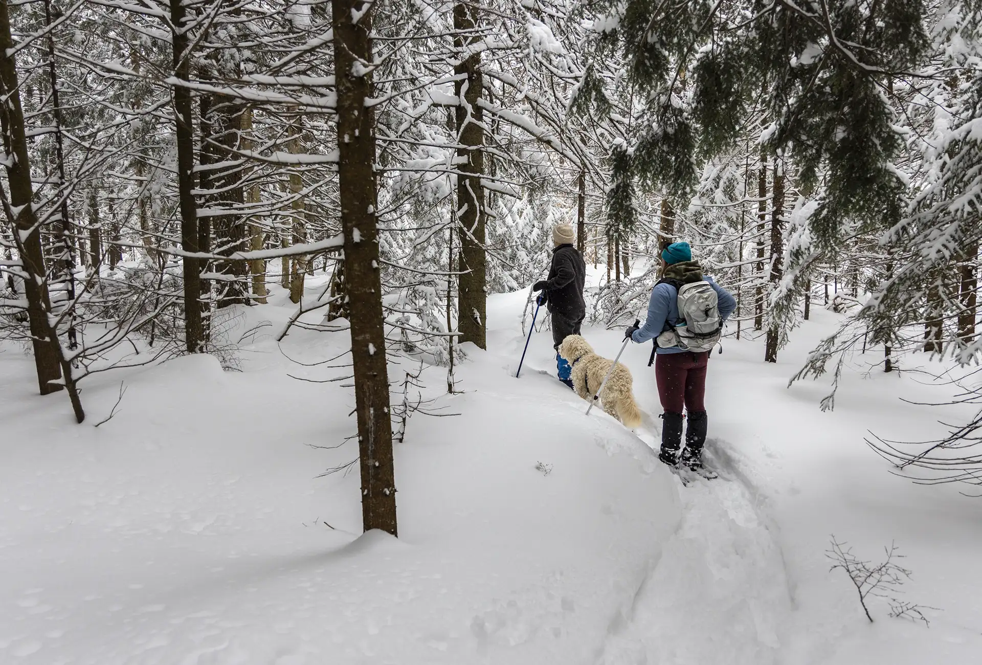 Snowshoe Hikes for Beginners