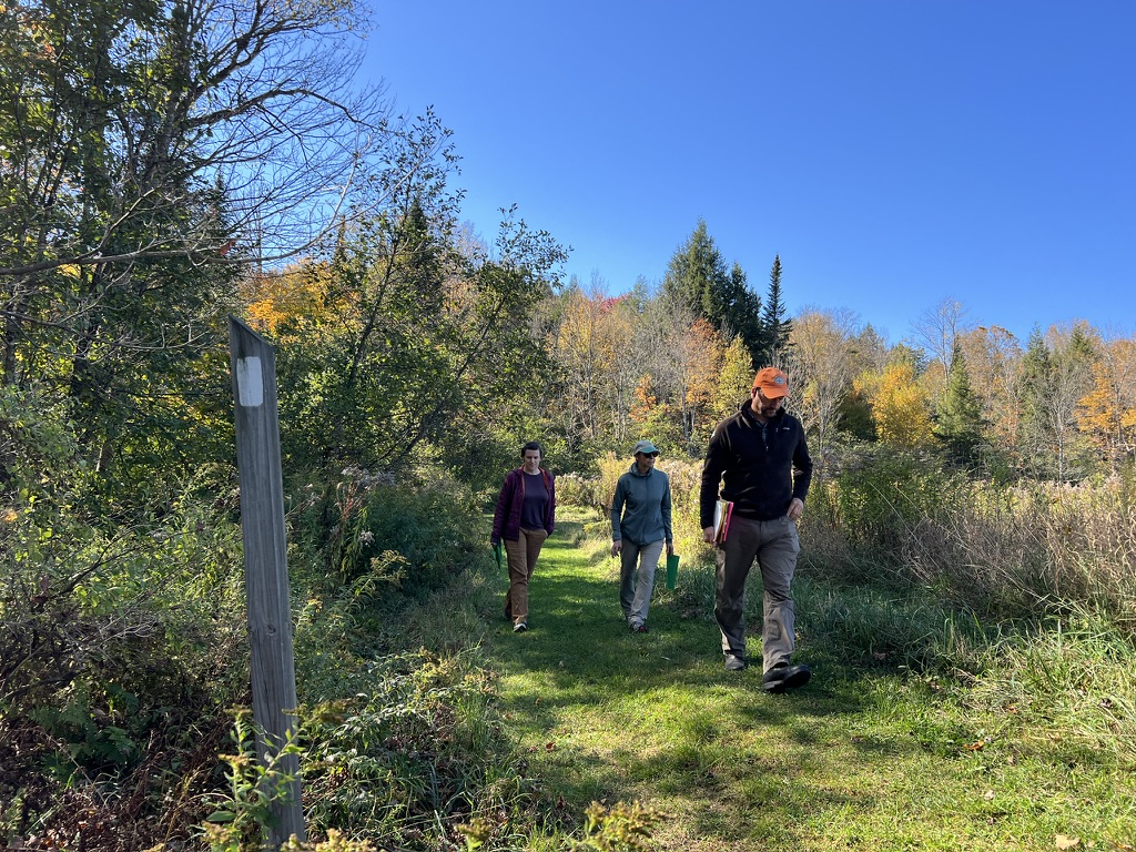 Fall - Short Trail Hike