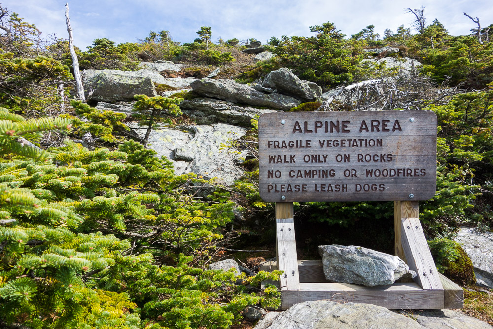 Protecting Alpine Zones