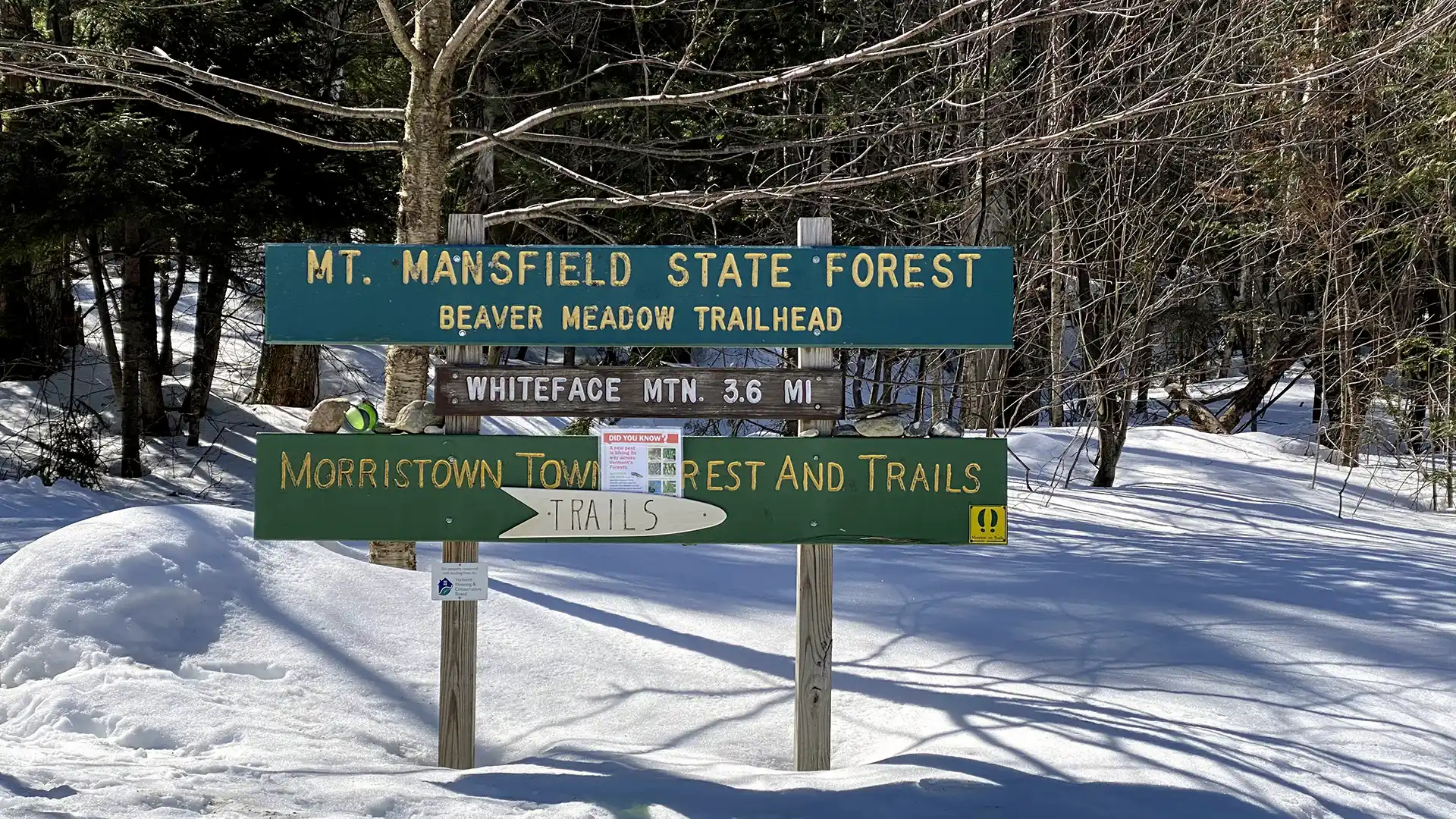 Beaver Meadow Loop Trailhead Sign_Mansfield Area Hikes_Chloe Miller_March 2021