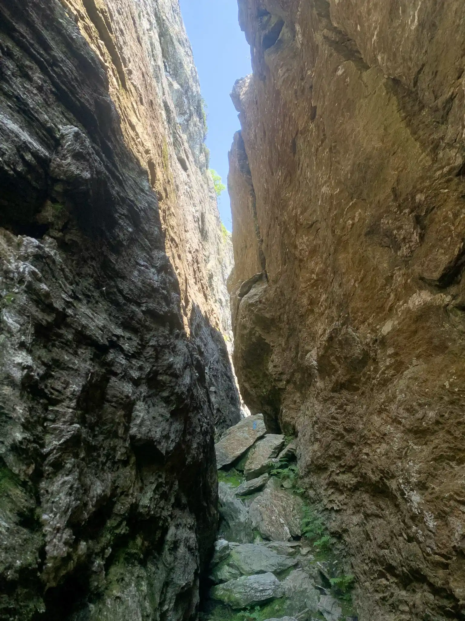 Gondola to Cliff Trail
