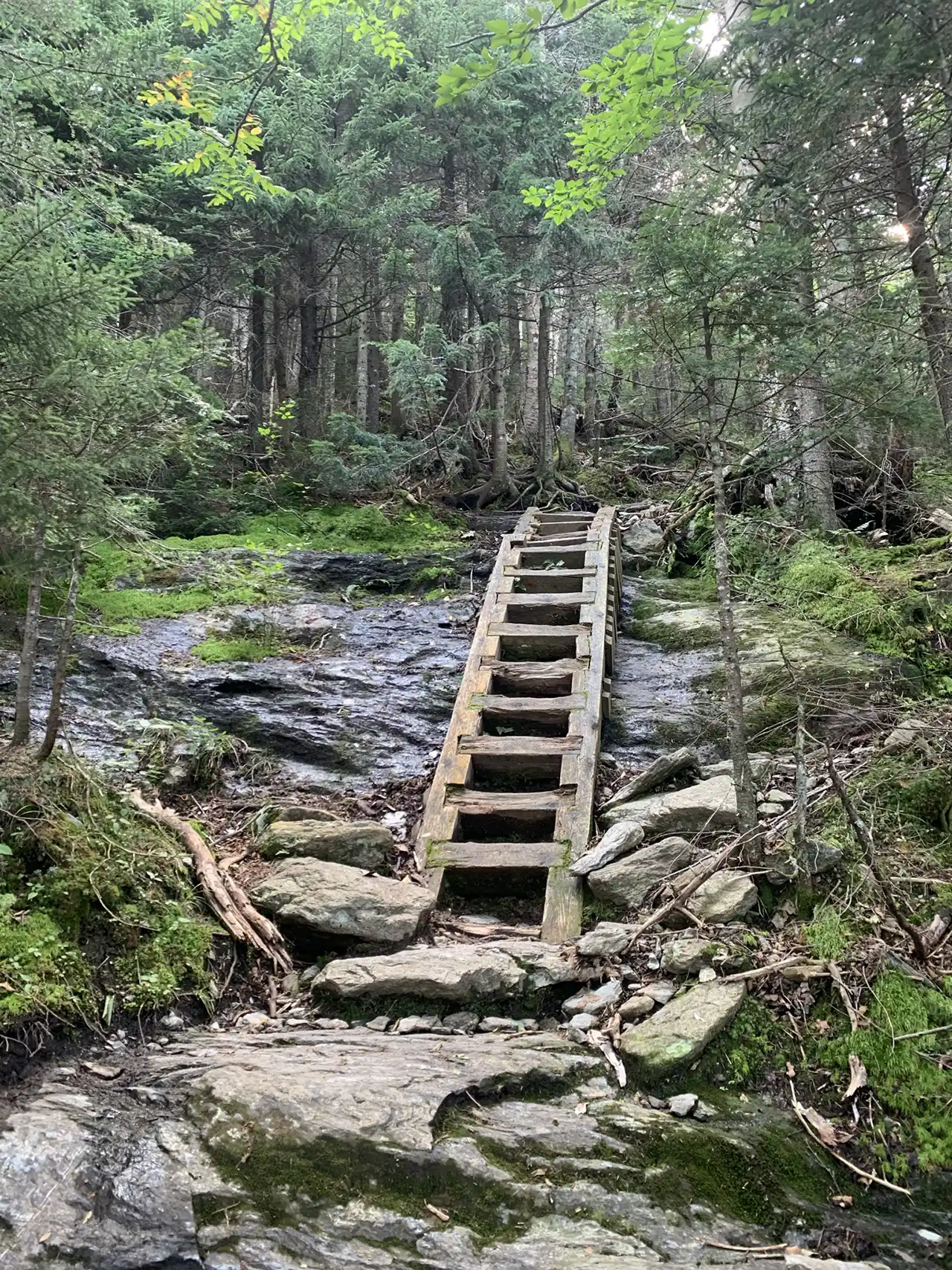 Halfway House Ladder_Mansfield Area Hikes