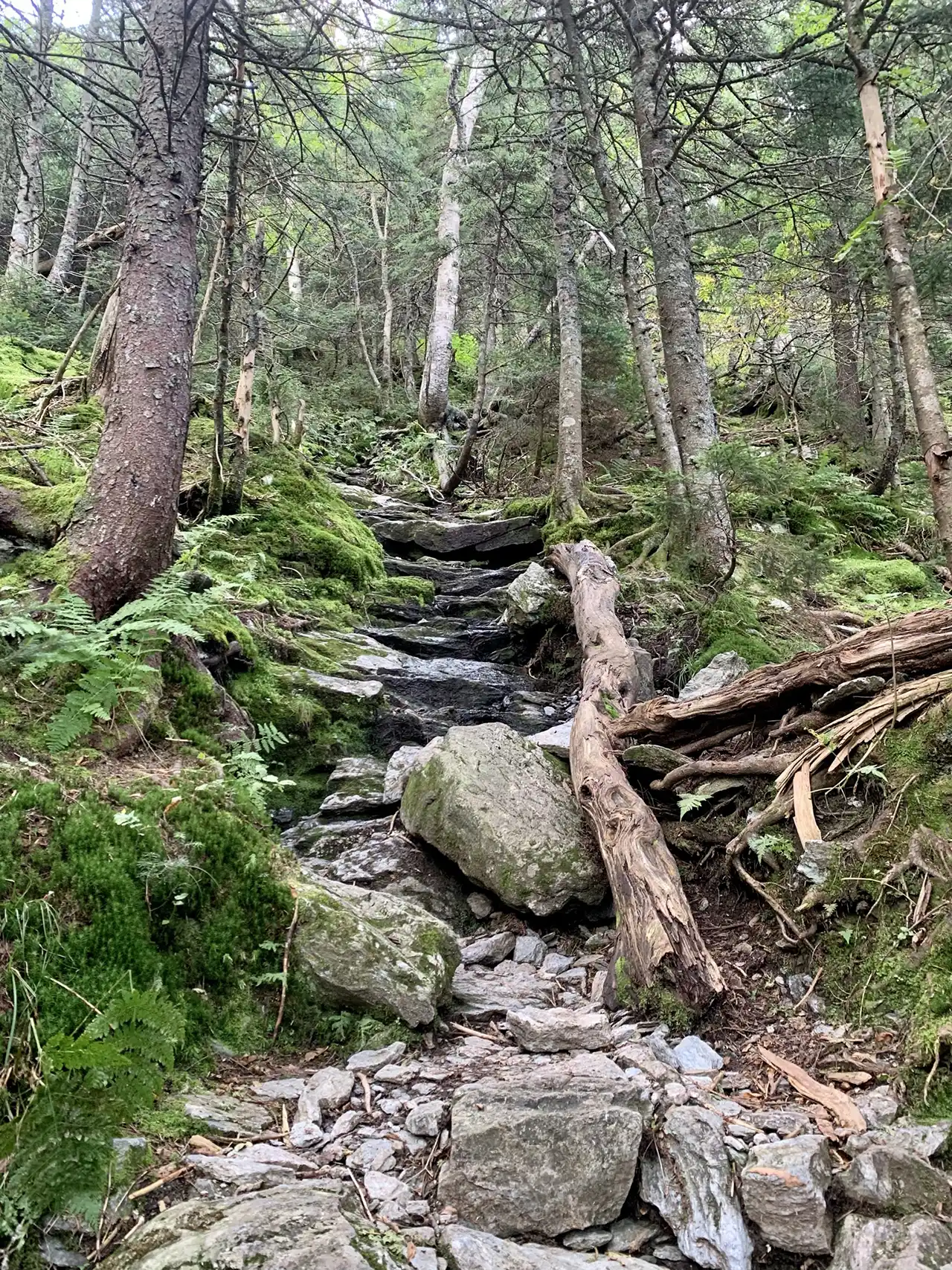 Halfway House_Mansfield Area Hikes
