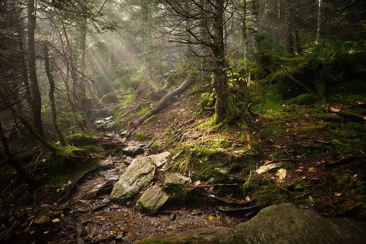 Hellbrook Trail