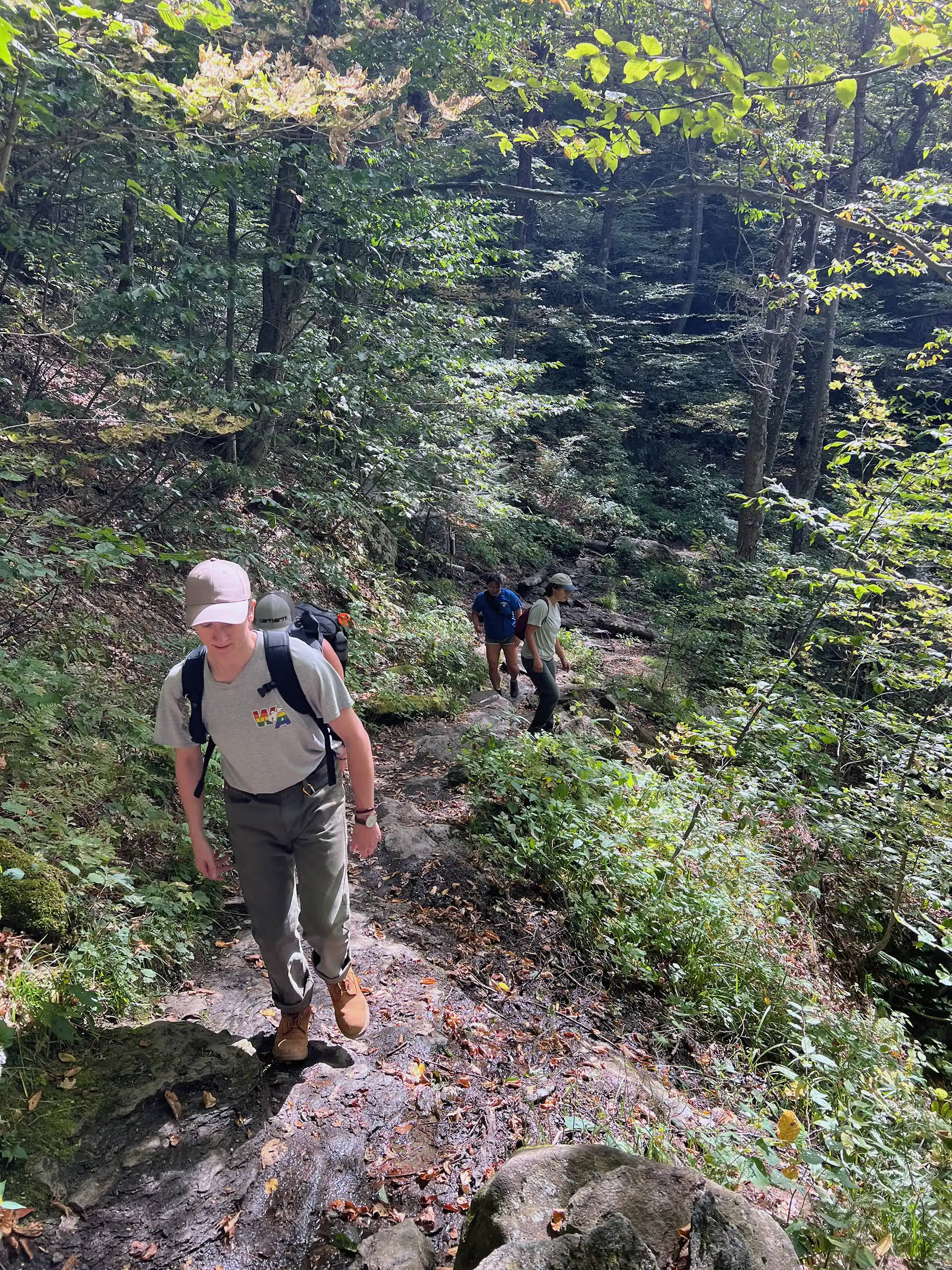 Lake Mansfield Trail to Taylor Lodge 