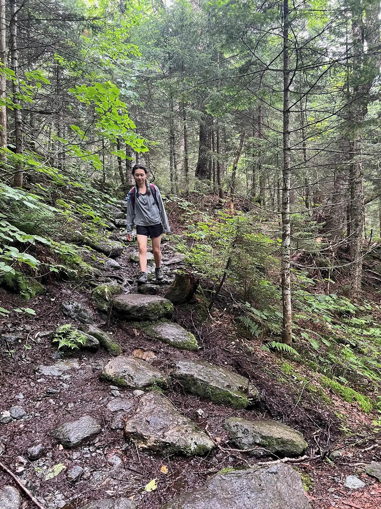 Laura Cowles Trail_Mount Mansfield_07-13-2025_Lily LaRegina