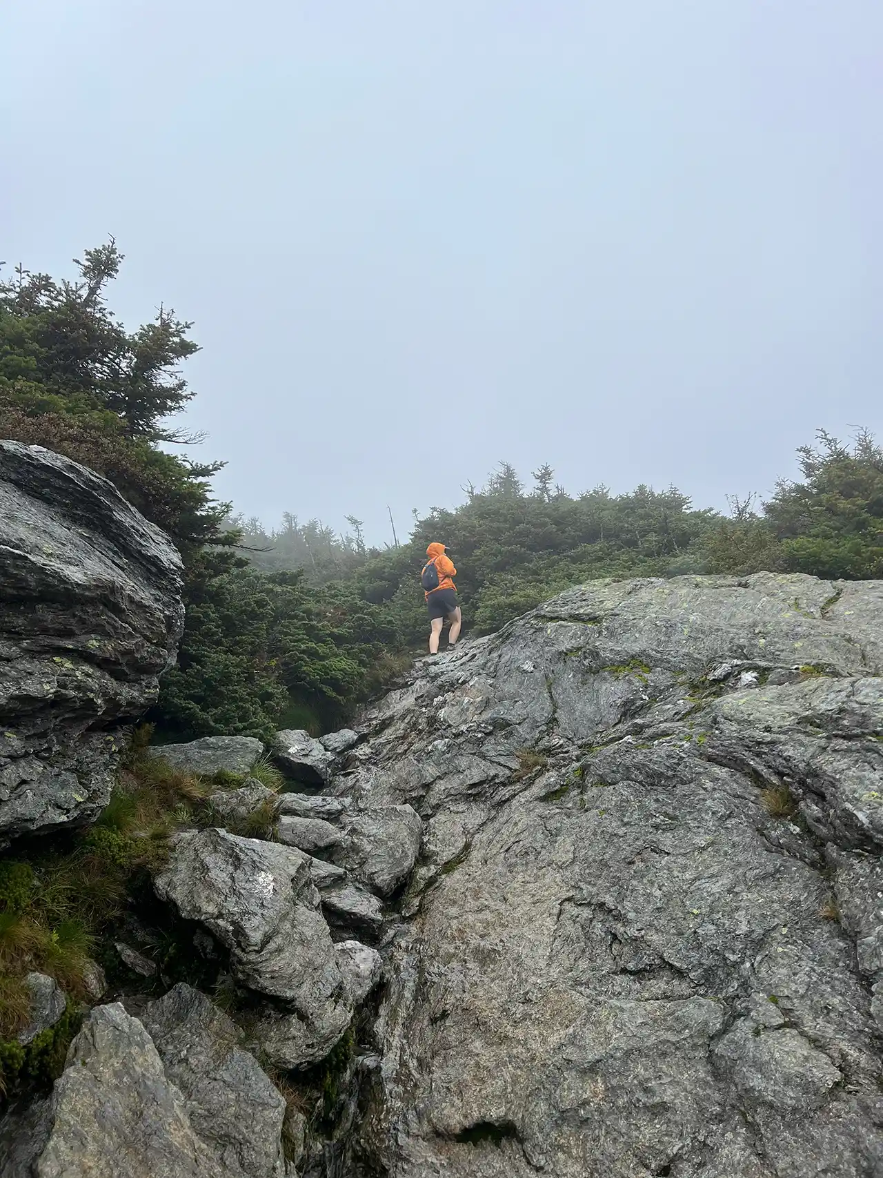 Laura Cowles Trail_Mount Mansfield_09-08-2024_Lily LaRegina