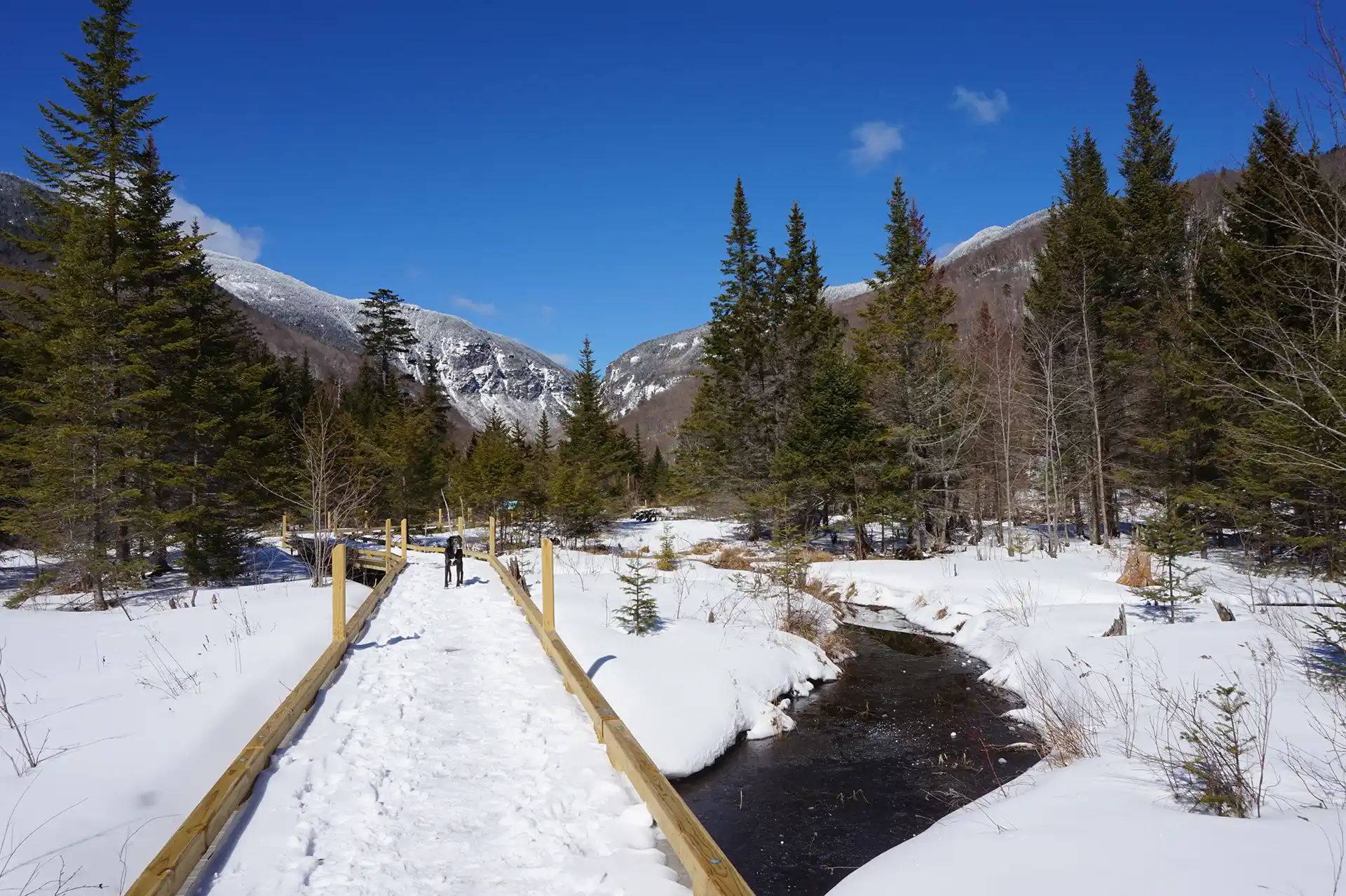 Smuggler's Notch Boardwalk_Winter_Mansfield Area Hikes_Amy Potter
