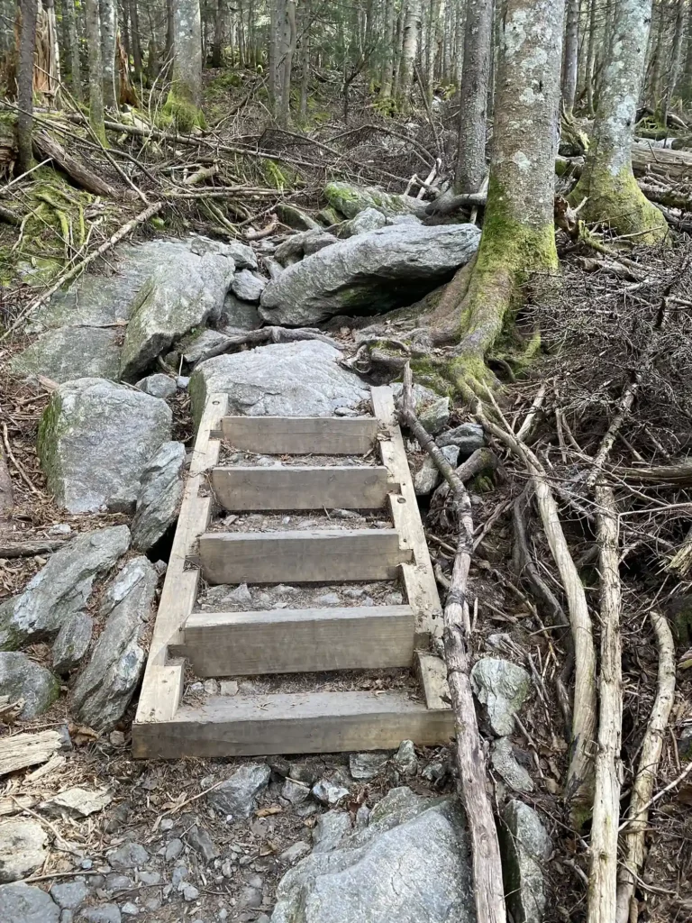 Burrows Trail_Staircase Near Top_10-04-2024_Alicia DiCocco