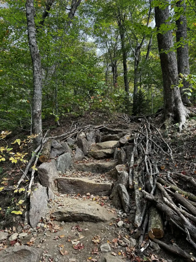Burrows Trail_rock staircase after_2024__Grace Law.jpeg