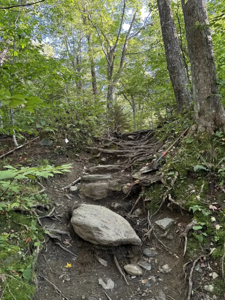 Burrows Trail_rock staircase before_2024__Grace Law