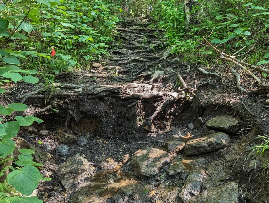 Burrows Trail_stonework before_2023_Matt Vezina.jpg
