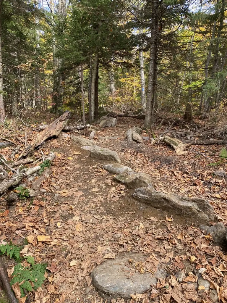 Burrows Trail_waterbar after_10-04-2024_Alicia DiCocco