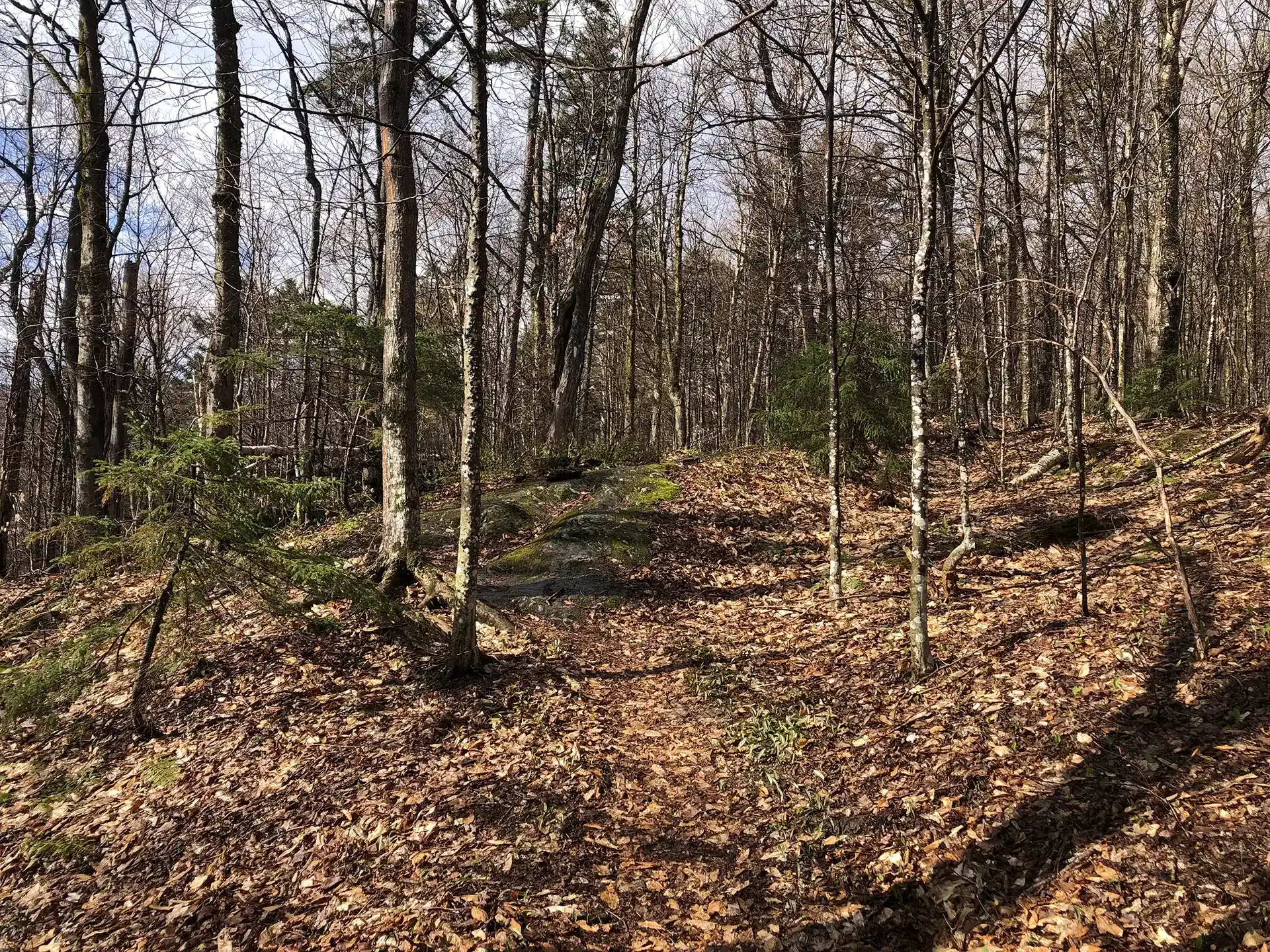 Conservation Partners Secure Further Protection of the Long Trail and Surrounding Corridor