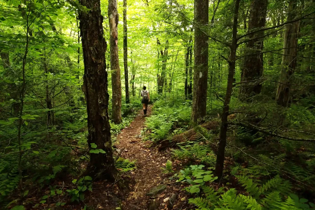 Long Trail_White Rocks Nat Rec Area_June 2020_Dan Lehmann