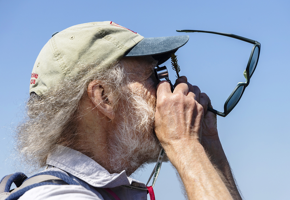 Bob Popp, retired Vermont State Biologist, uses a hand scope to examine a sprig of black spruce during the 2023 alpine ecology training walk on Mt. Mansfield. Photo by Lily LaRegina