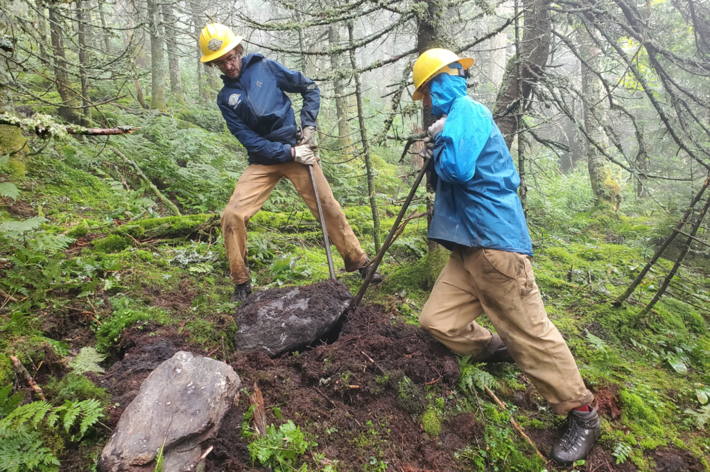 Burrows Trail rehabilitation work.