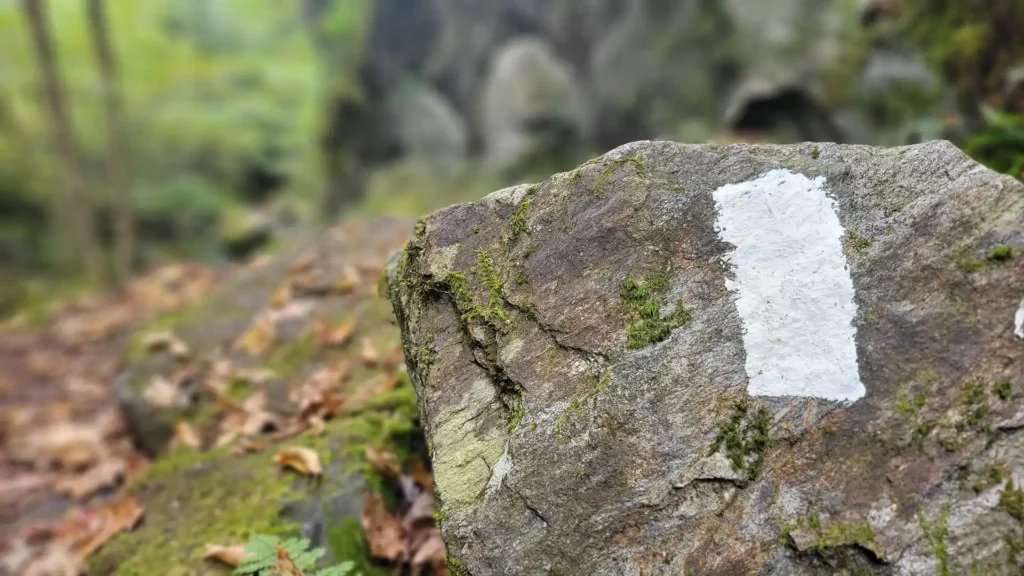 E2E_2024_Christopher Beland_White Blaze on Rock