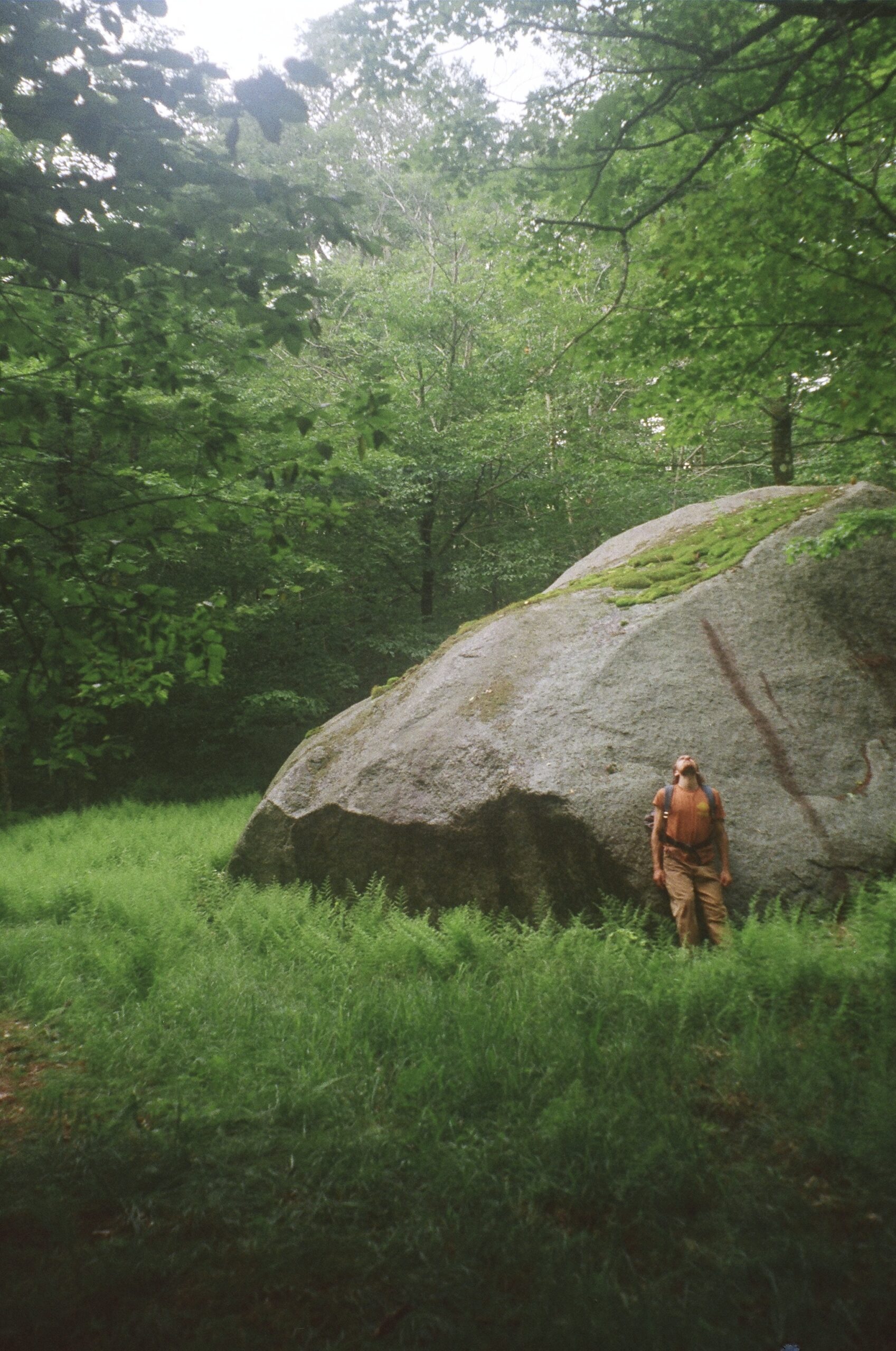 Field season on film