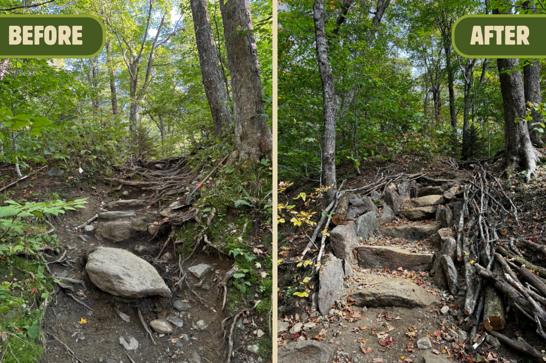 Burrows Trail Project Complete: Green Mountain Club Completes Overhaul of Historic Camel’s Hump Hiking Trail