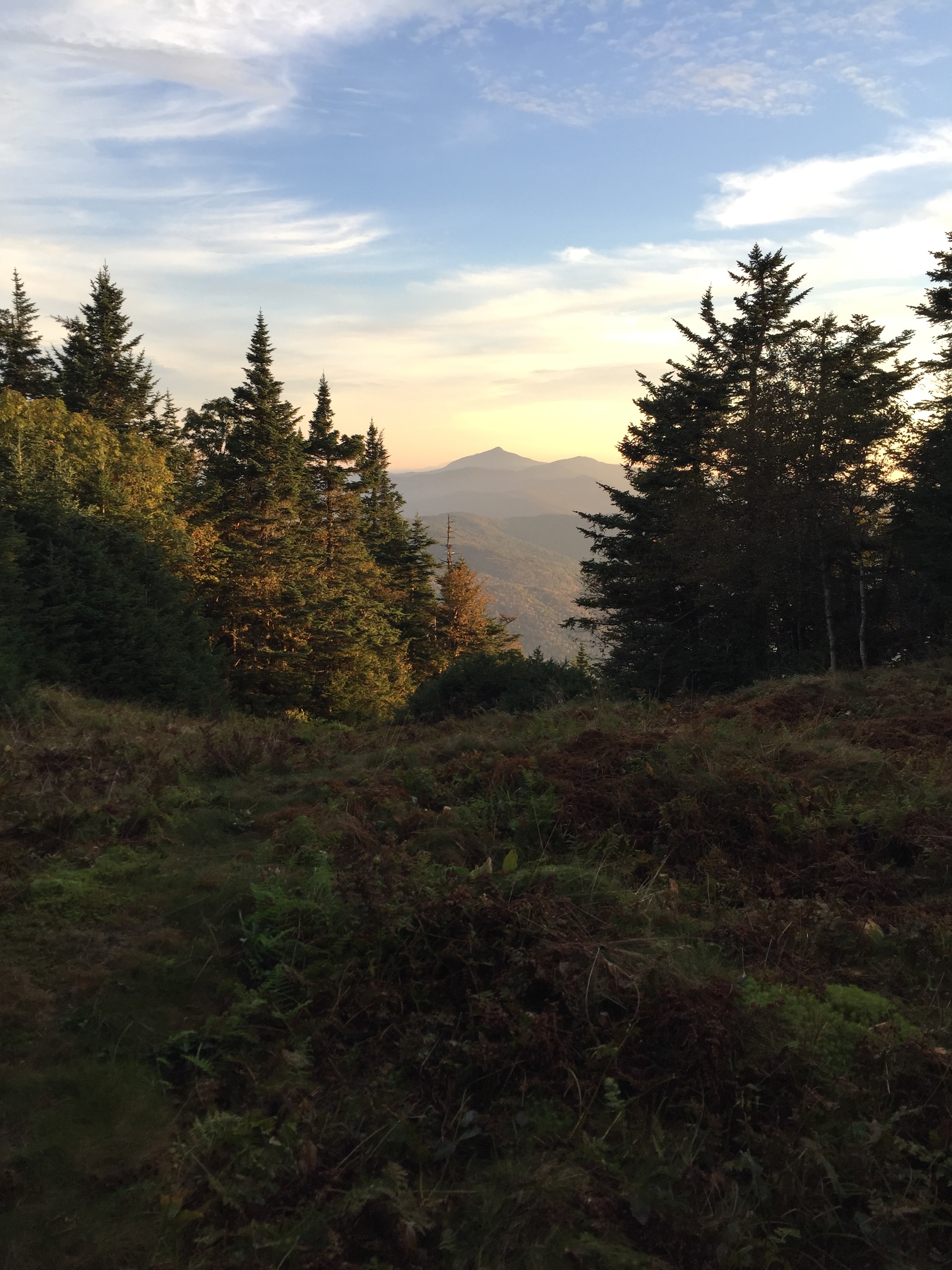 Stark Mountain Trail