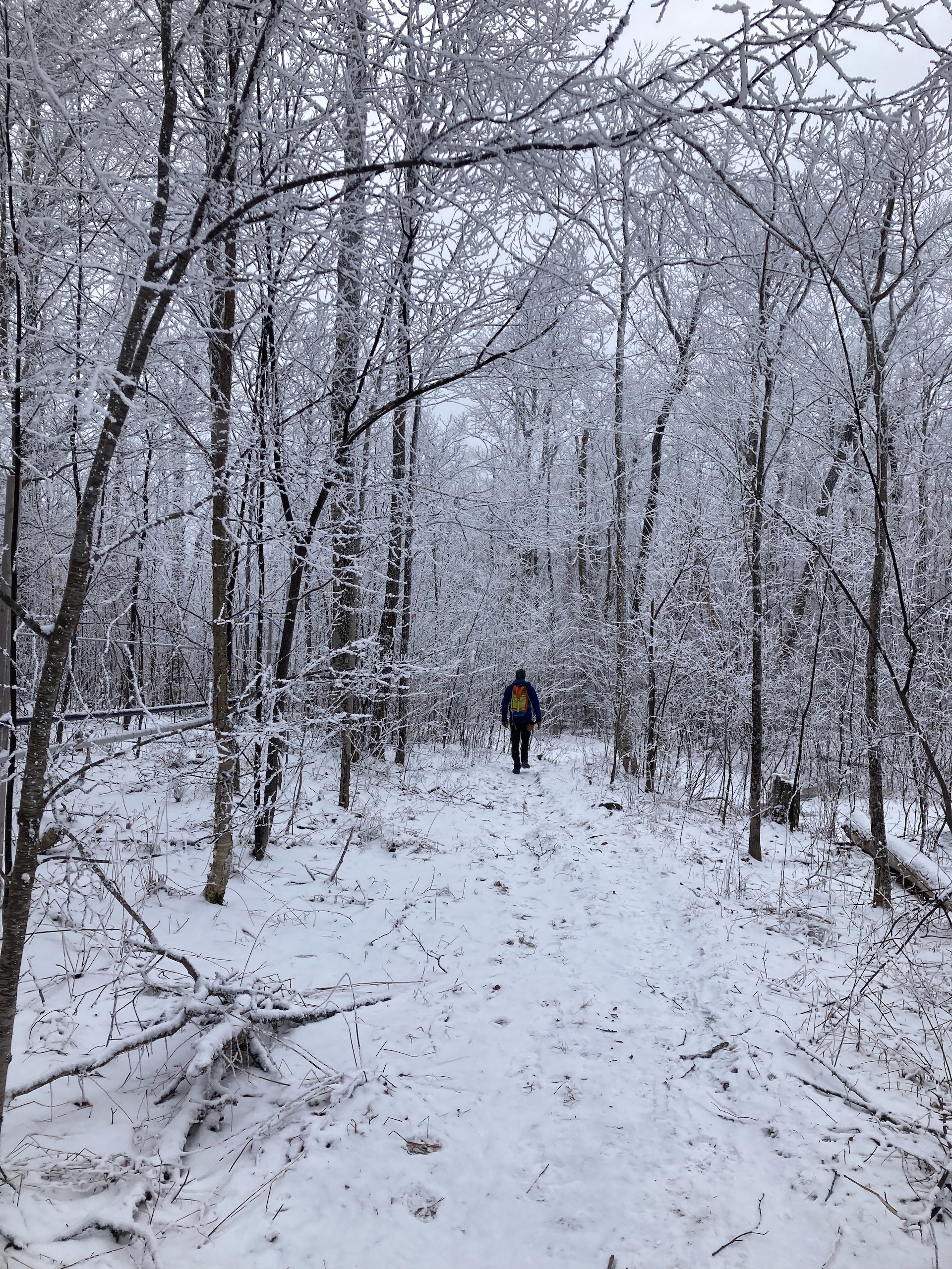 Jerusalem Trail in Winter_by Erica Harris