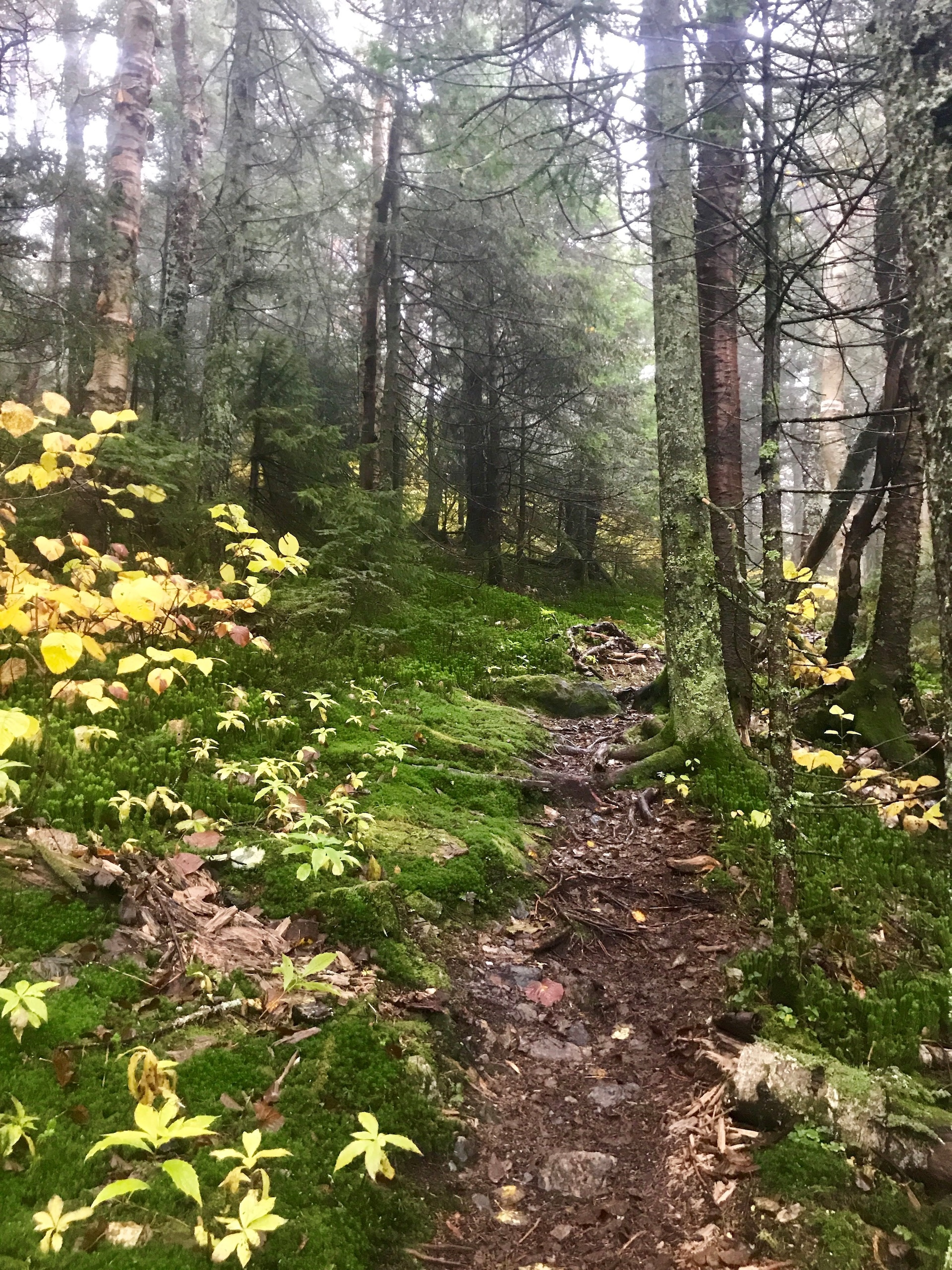 Jerusalem Trail in September_Leah Korce