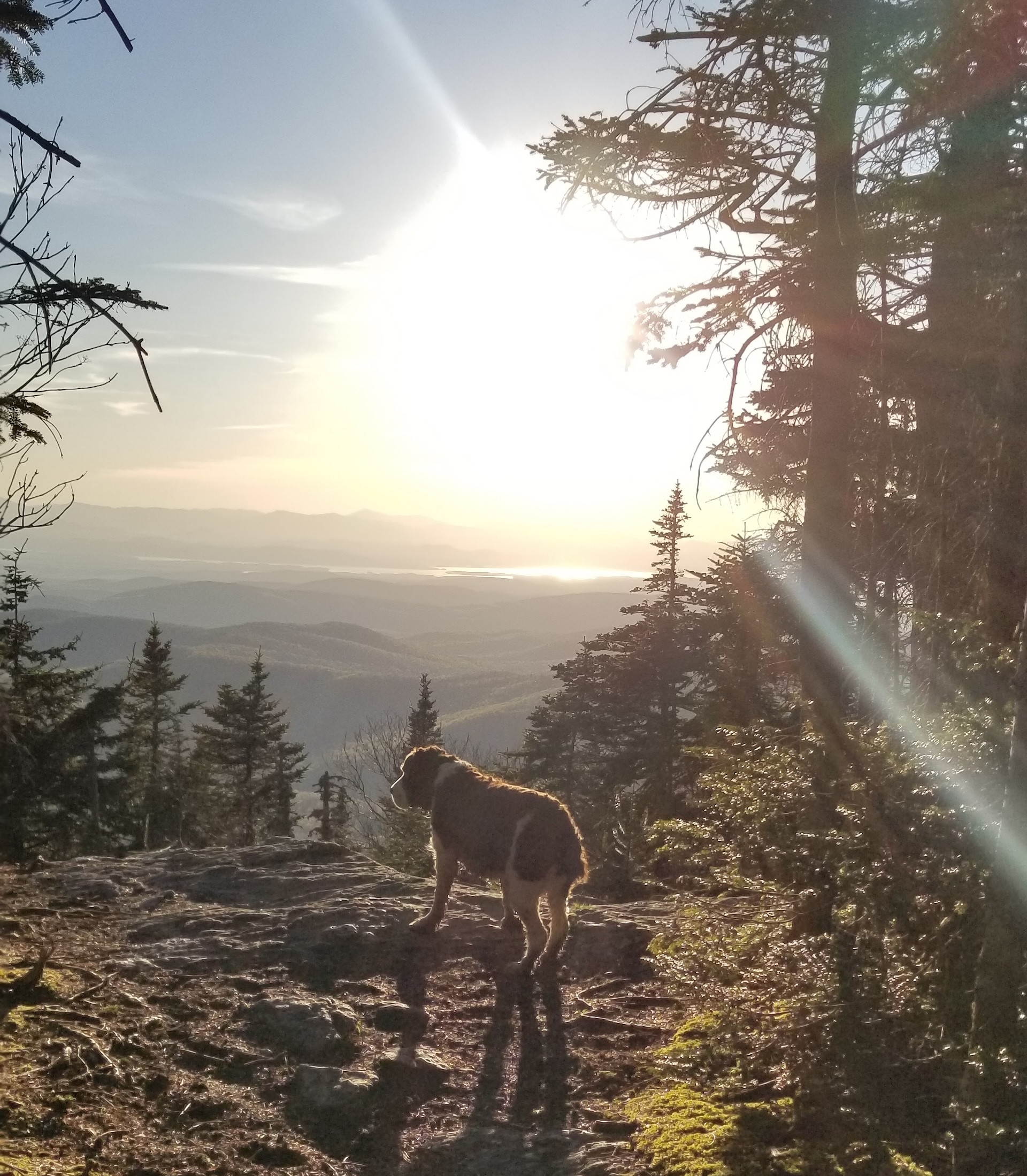 Jerusalemย Trailย to Orvis Lookout