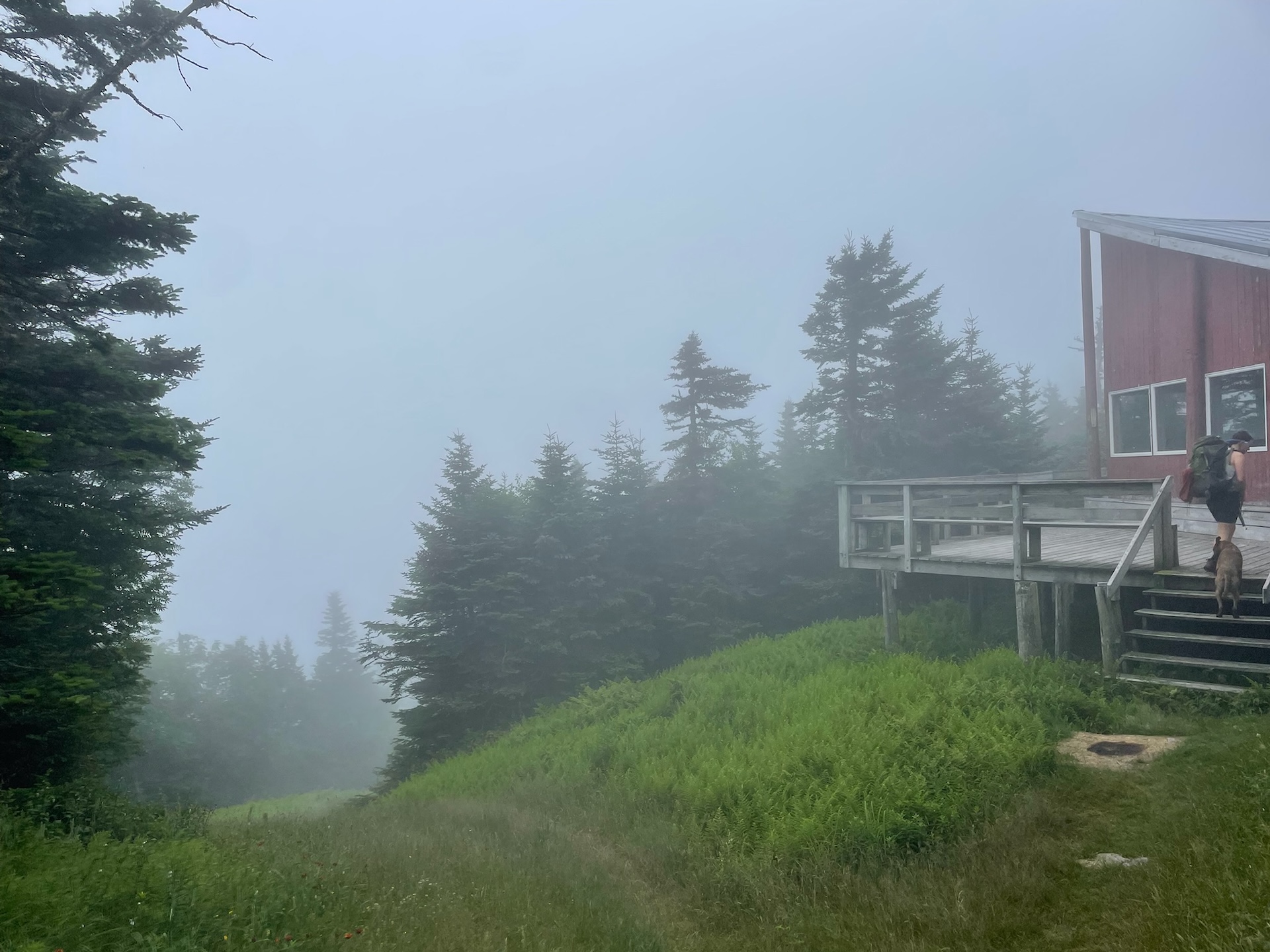 a foggy ski, grassy ski slope and red Ski Patrol hut