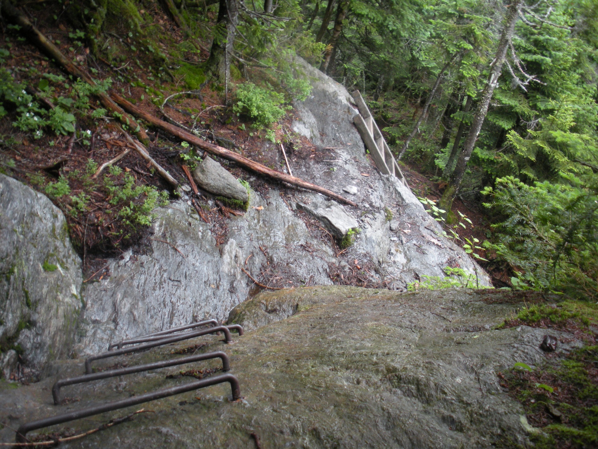 some of the metal rebar ladders over rock on the Monroe Skyline hike