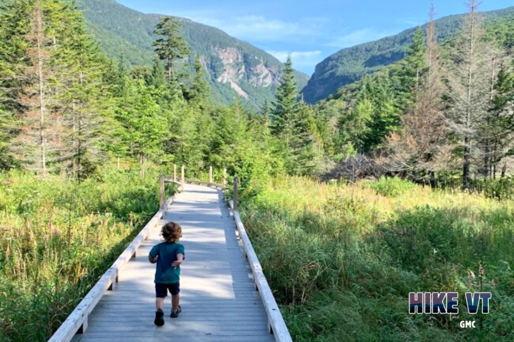 Quinn walks down Barnes Camp Boardwalk