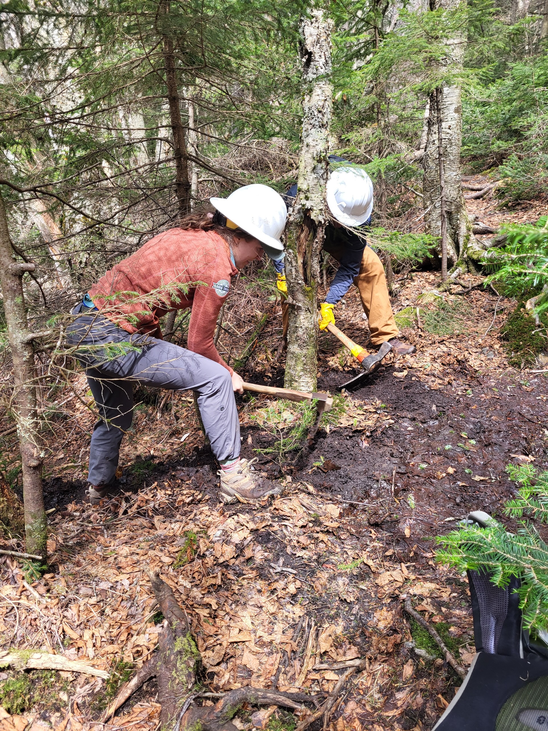 two volunteers in white hard hats use trail tools to clear out a muddy, leaf-covered drain on a trail